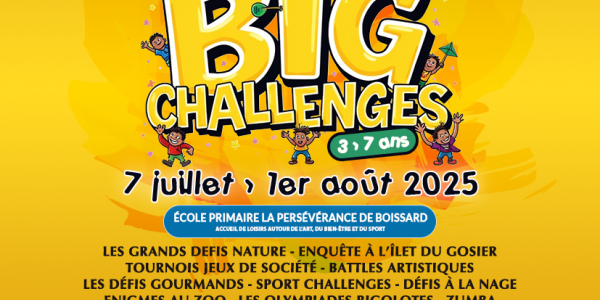 LES BIG CHALLENGES