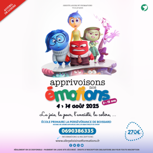 APPRIVOISONS LES ÉMOTIONS